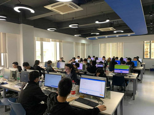 强技能 提成绩——我院扎实推进18级学生技能高考实训与计算机技术培训工作